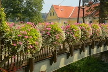 Safenbrücke (c)Josef Lederer